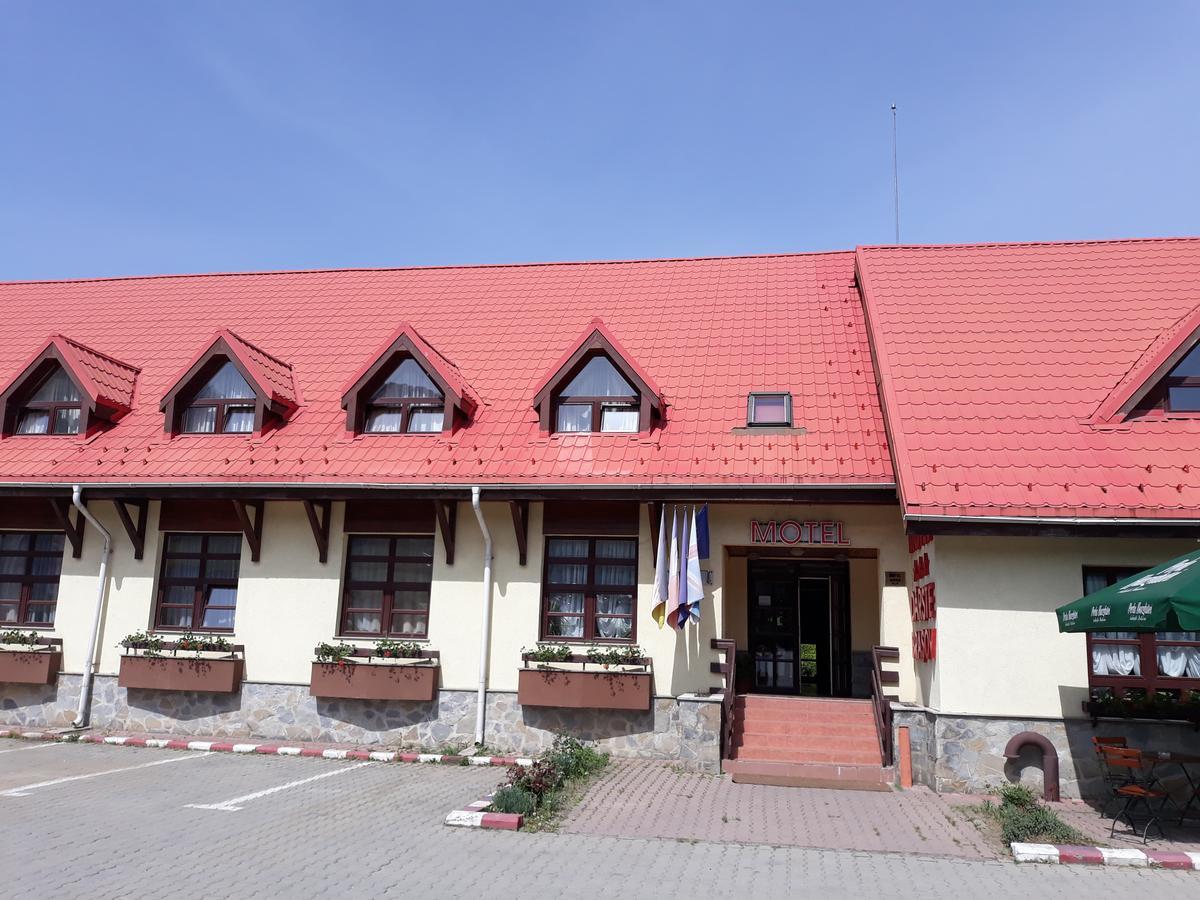 Motel Din Darste 萨彻勒 外观 照片